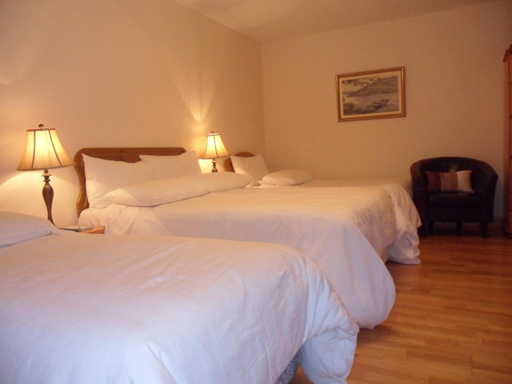 Forest Park House B&B Boyle Extérieur photo