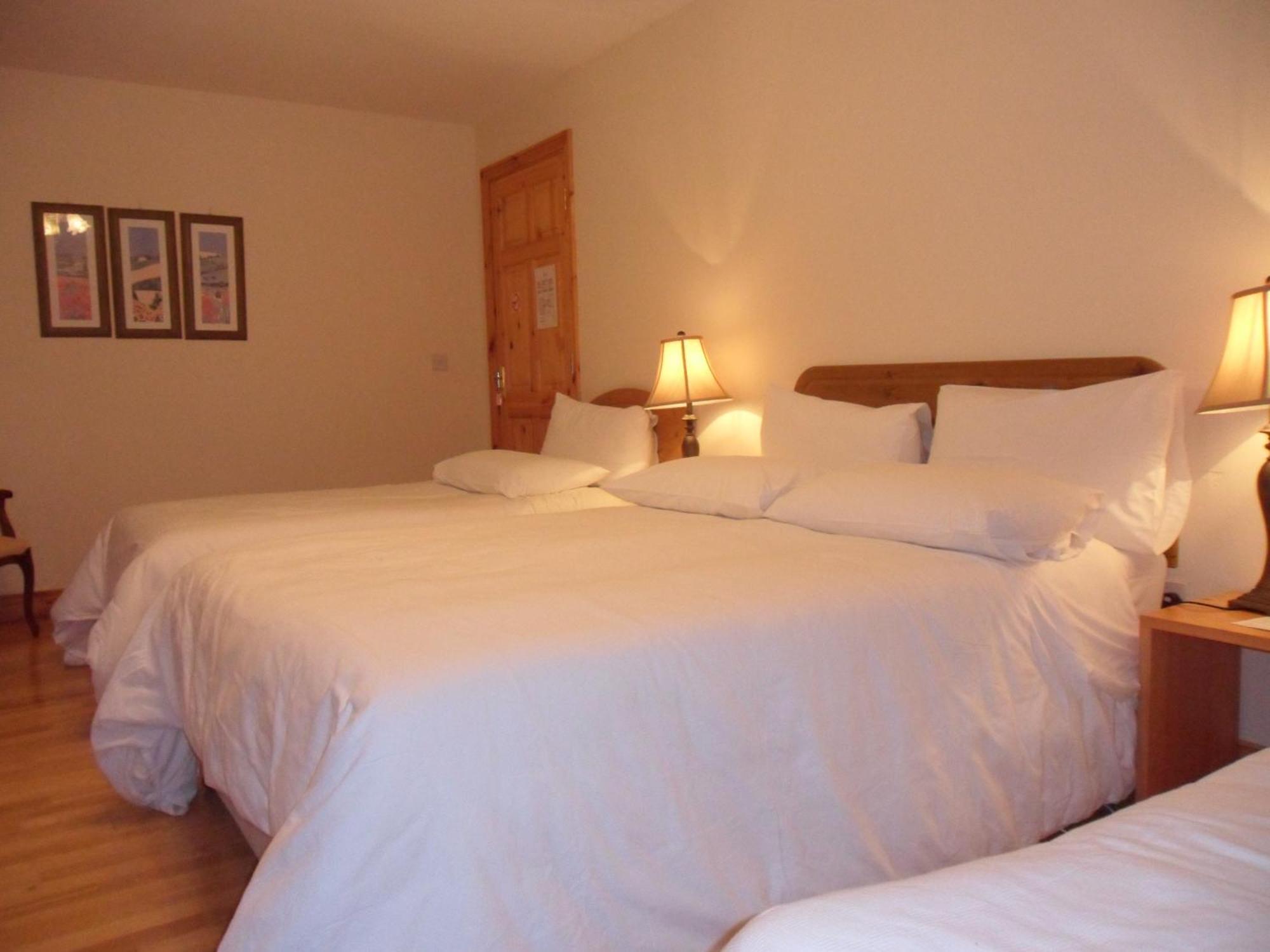 Forest Park House B&B Boyle Extérieur photo