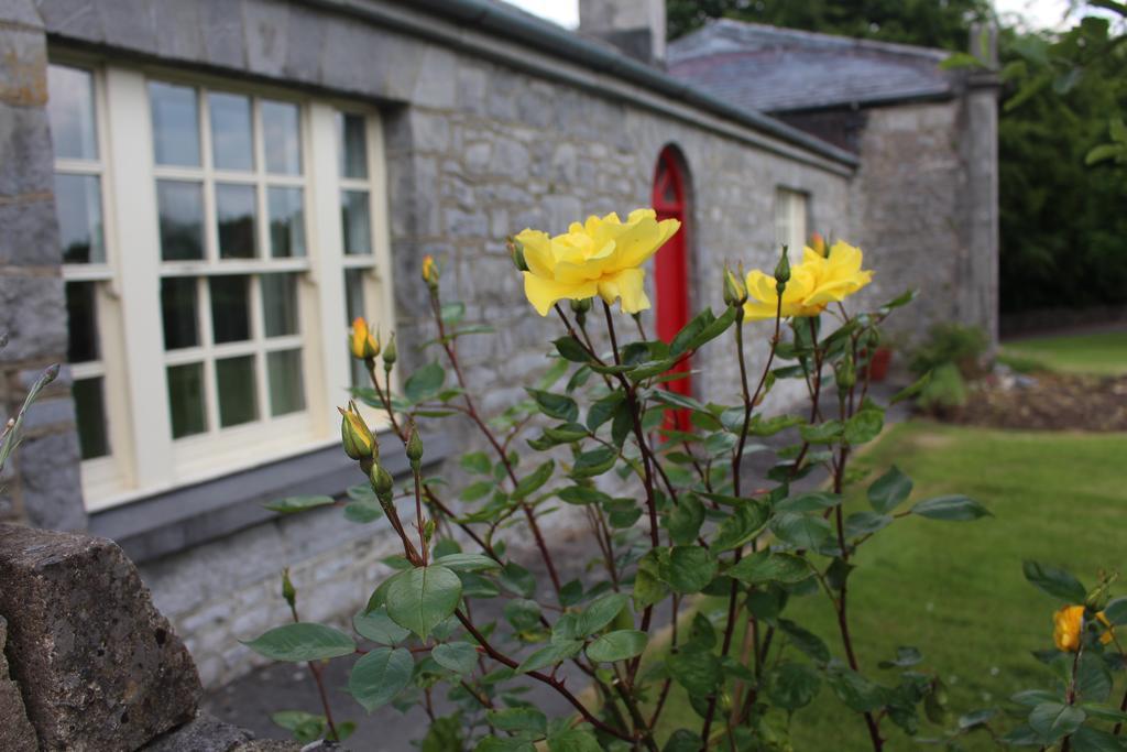 Forest Park House B&B Boyle Extérieur photo